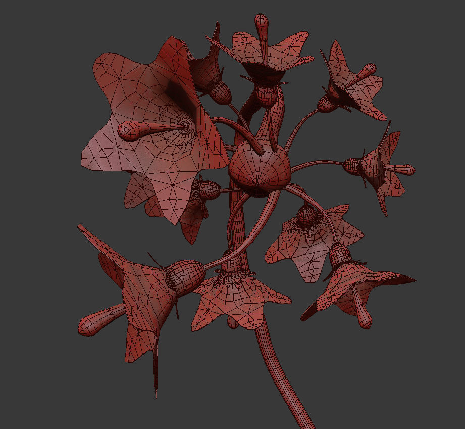 ANIMATED FLOWERS COLLECTION 3D model_20