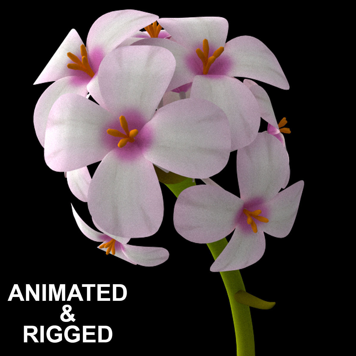 ANIMATED FLOWERS COLLECTION 3D model_7