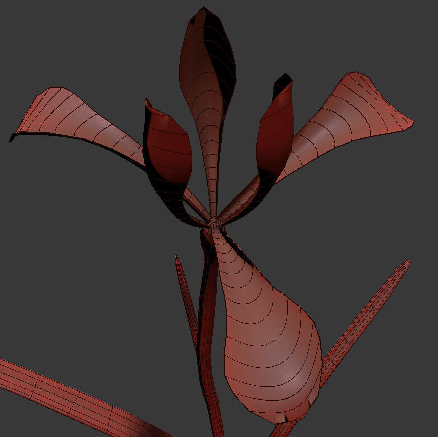 ANIMATED FLOWERS COLLECTION 3D model_43