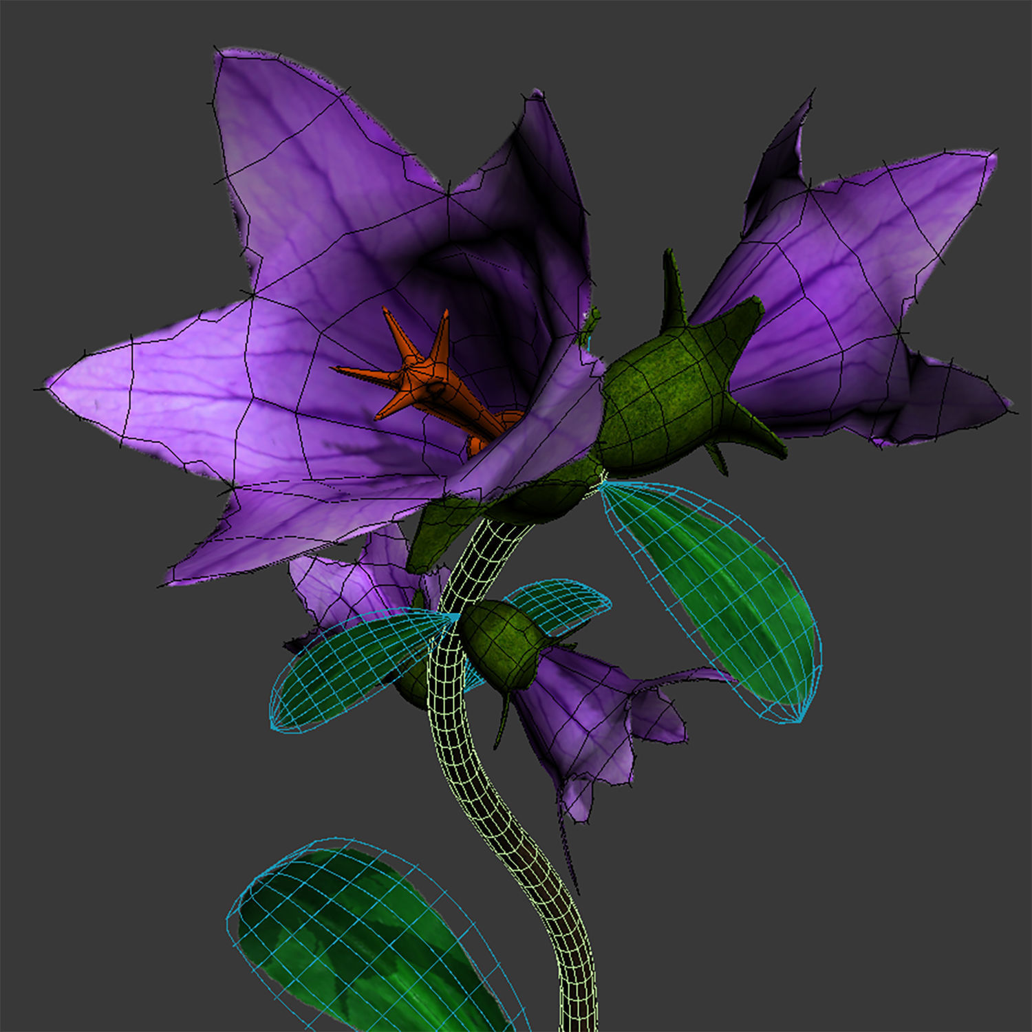 ANIMATED FLOWERS COLLECTION 3D model_32