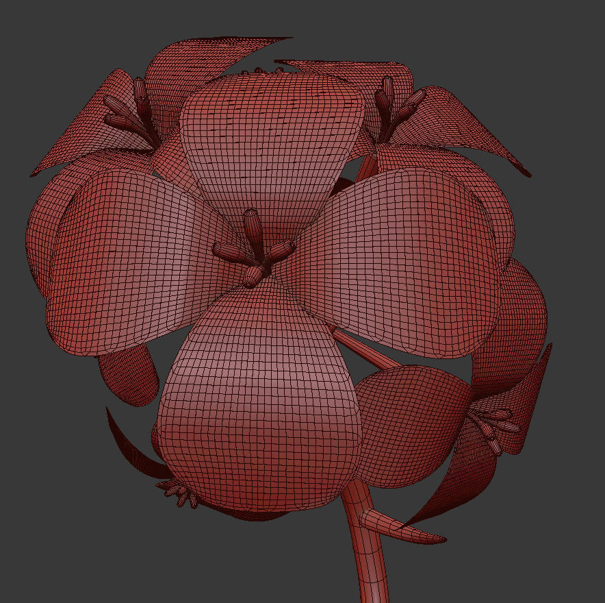 ANIMATED FLOWERS COLLECTION 3D model_17