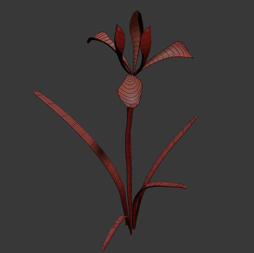 ANIMATED FLOWERS COLLECTION 3D model_42