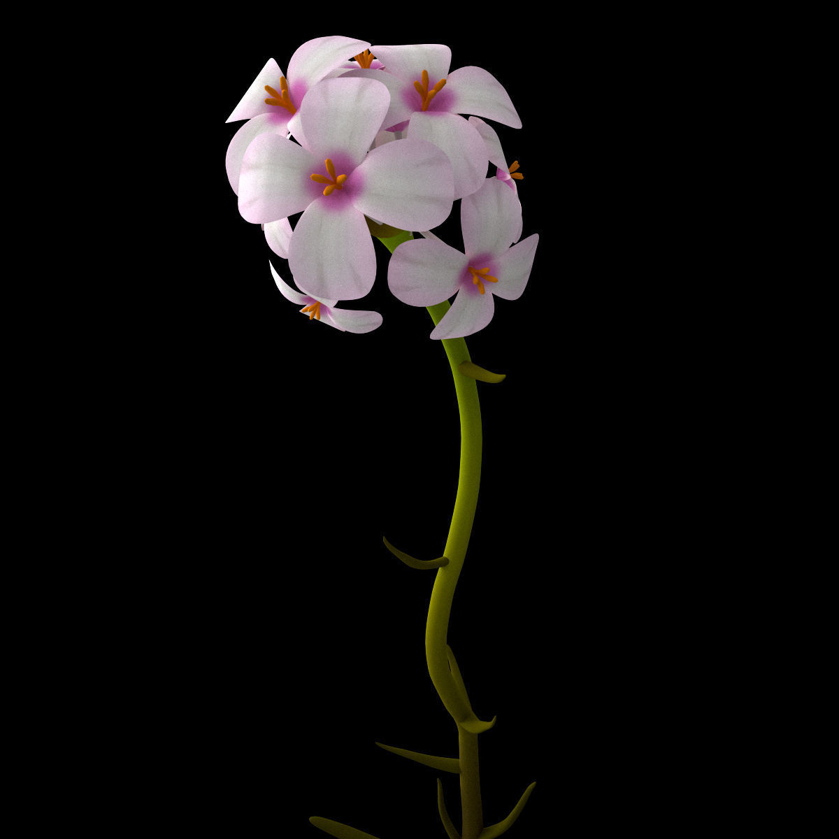 ANIMATED FLOWERS COLLECTION 3D model_12