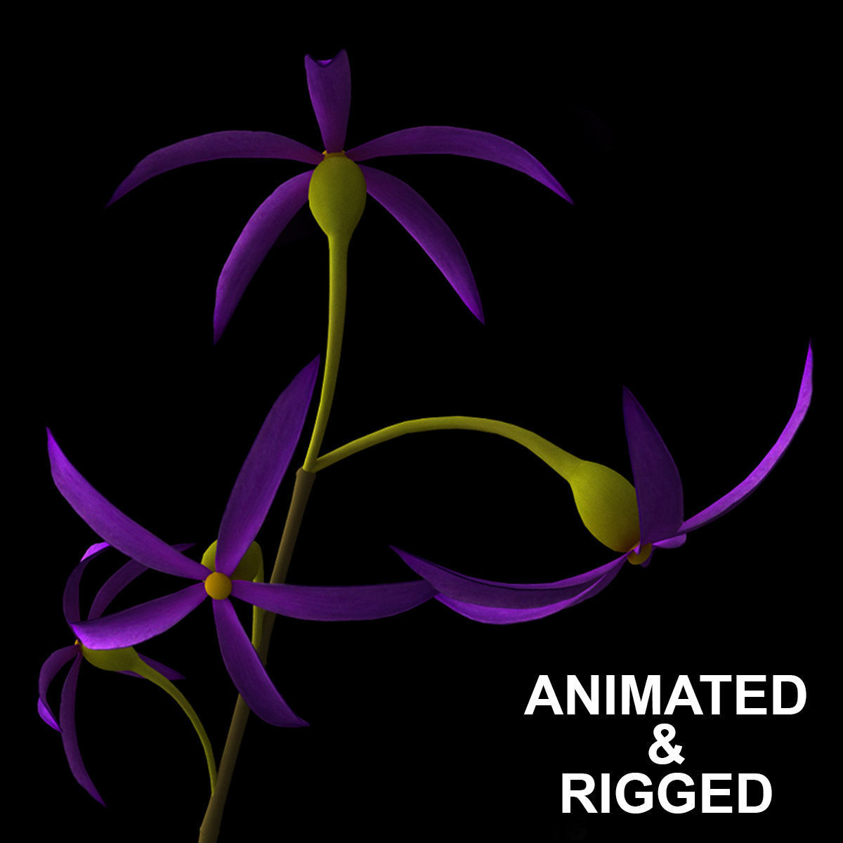 ANIMATED FLOWERS COLLECTION 3D model_5
