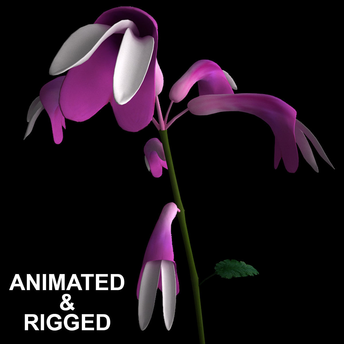 ANIMATED FLOWERS COLLECTION 3D model_4