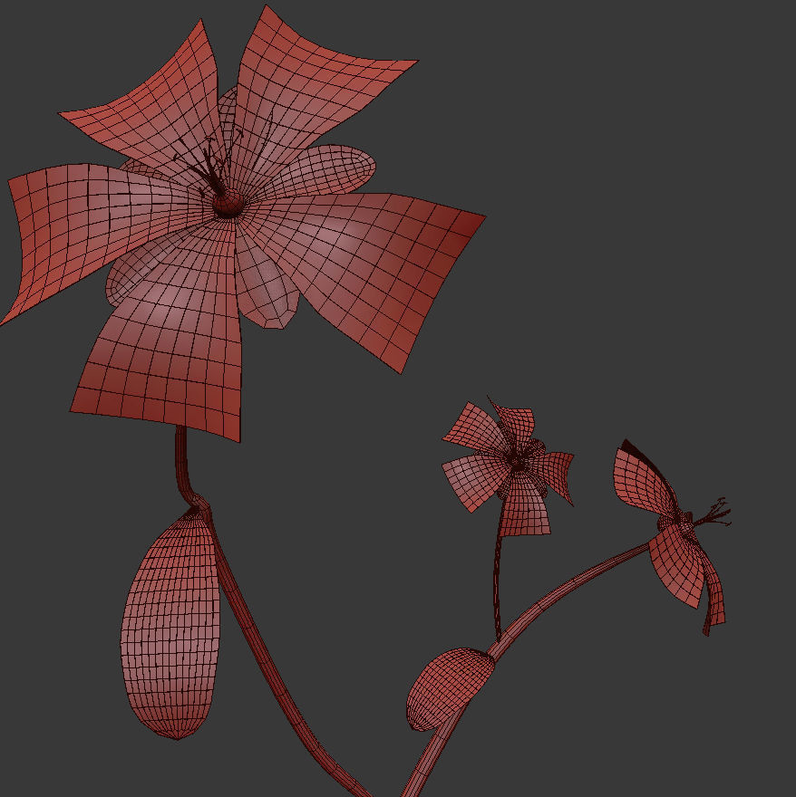 ANIMATED FLOWERS COLLECTION 3D model_35