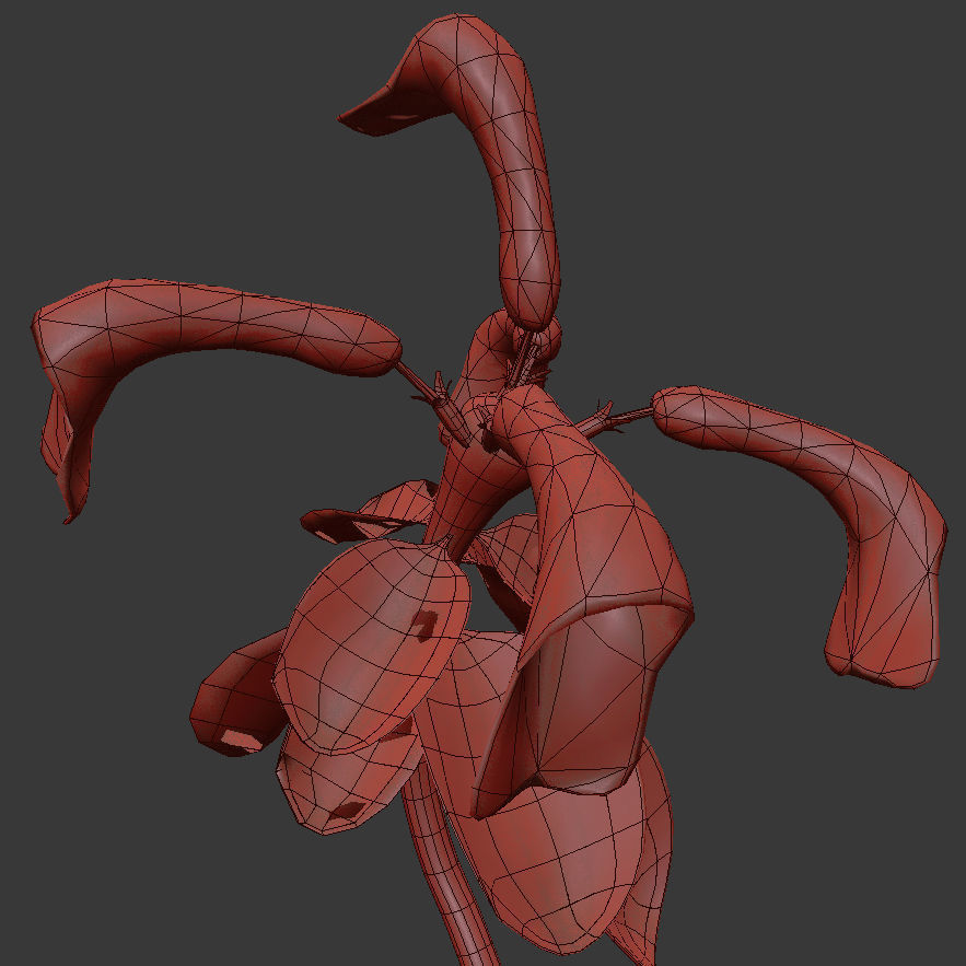 ANIMATED FLOWERS COLLECTION 3D model_46