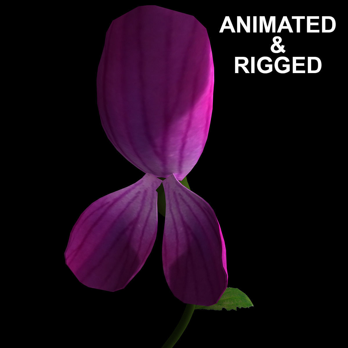 ANIMATED FLOWERS COLLECTION 3D model_11