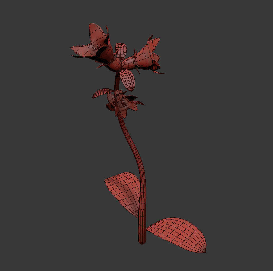 ANIMATED FLOWERS COLLECTION 3D model_30