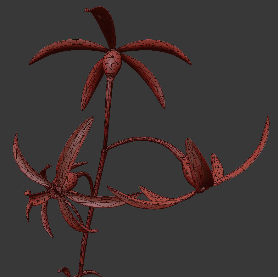 ANIMATED FLOWERS COLLECTION 3D model_26