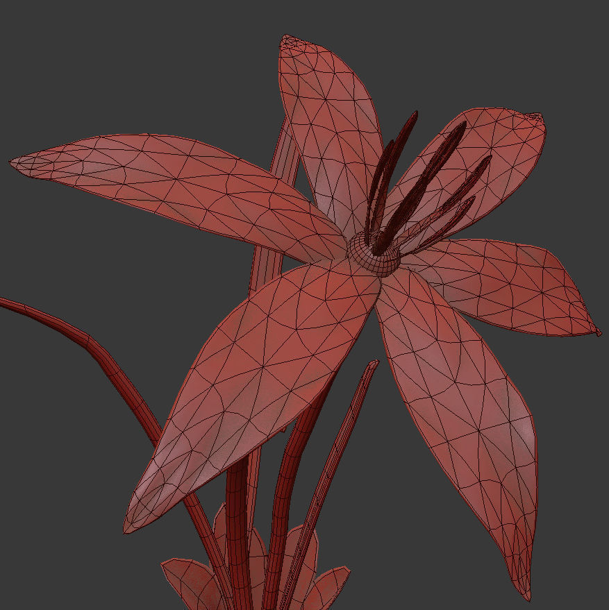 ANIMATED FLOWERS COLLECTION 3D model_22