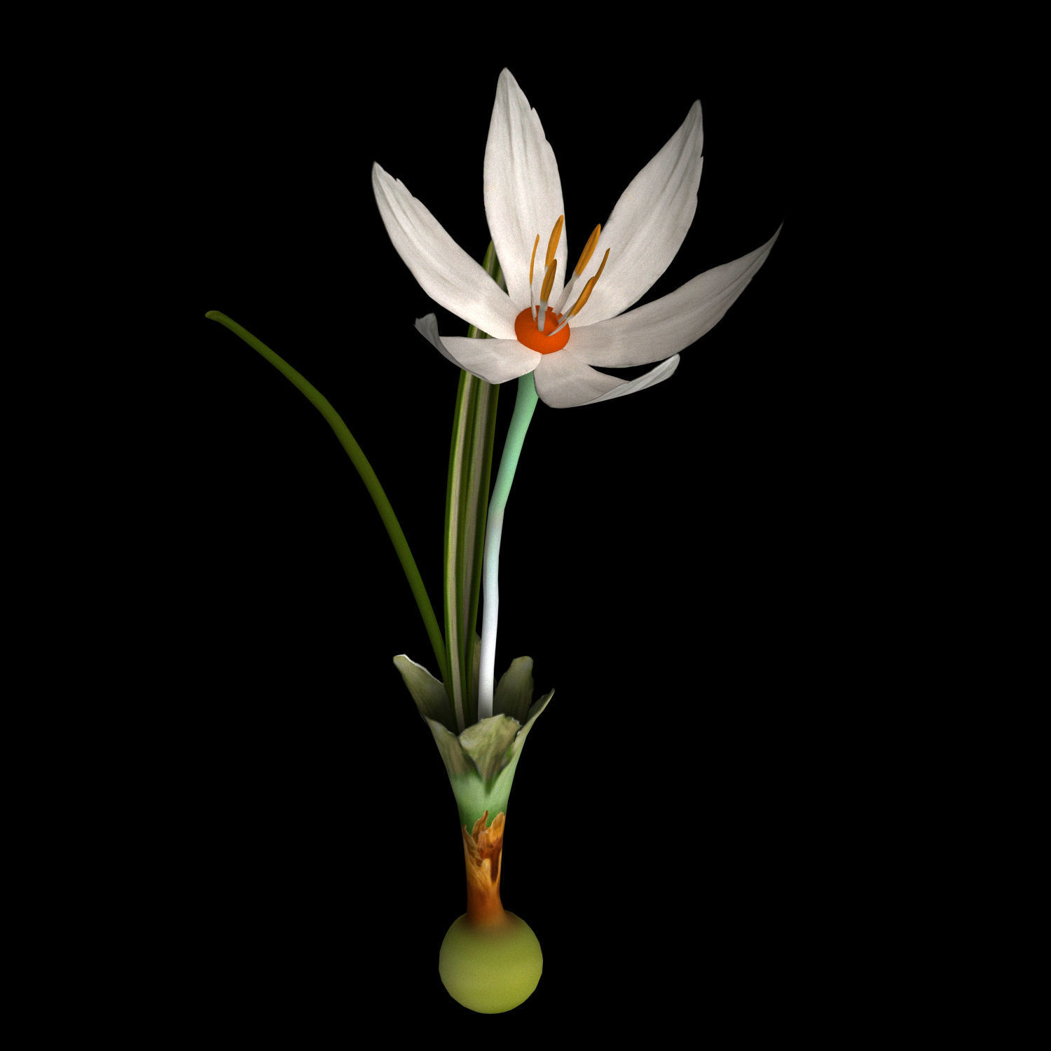 ANIMATED FLOWERS COLLECTION 3D model_12