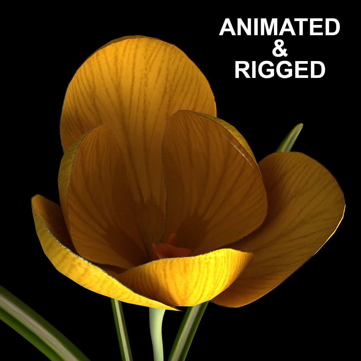 ANIMATED FLOWERS COLLECTION 3D model_5