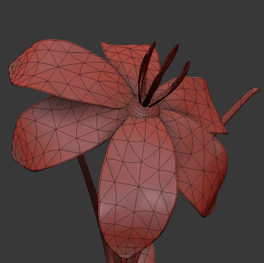 ANIMATED FLOWERS COLLECTION 3D model_24