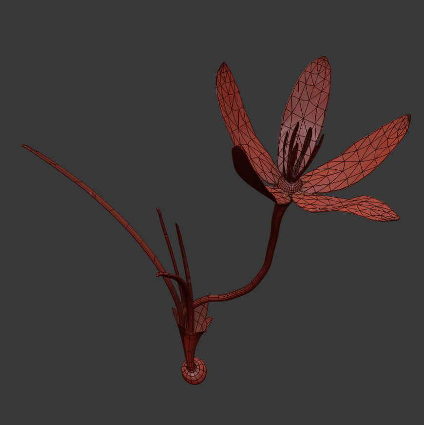 ANIMATED FLOWERS COLLECTION 3D model_27