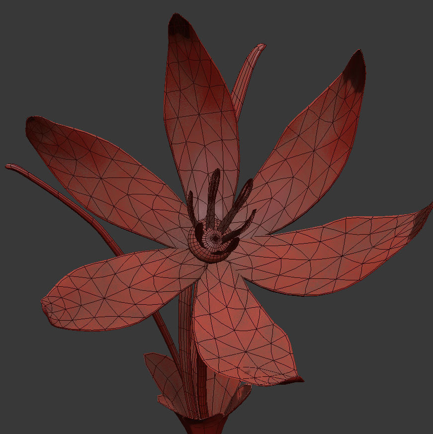 ANIMATED FLOWERS COLLECTION 3D model_40