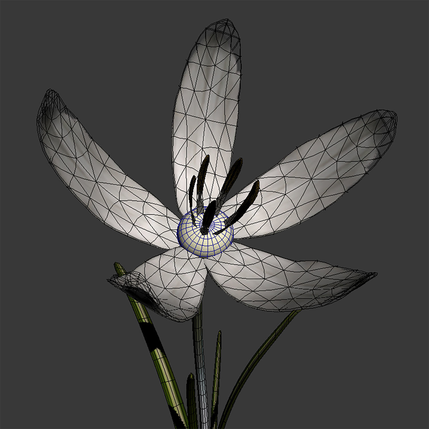 ANIMATED FLOWERS COLLECTION 3D model_26