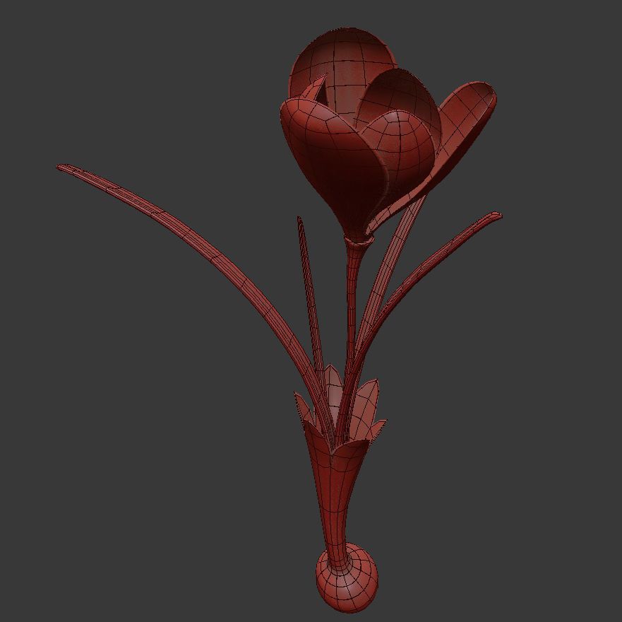 ANIMATED FLOWERS COLLECTION 3D model_30