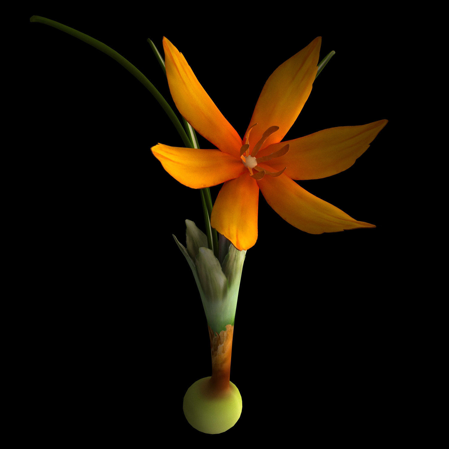 ANIMATED FLOWERS COLLECTION 3D model_14