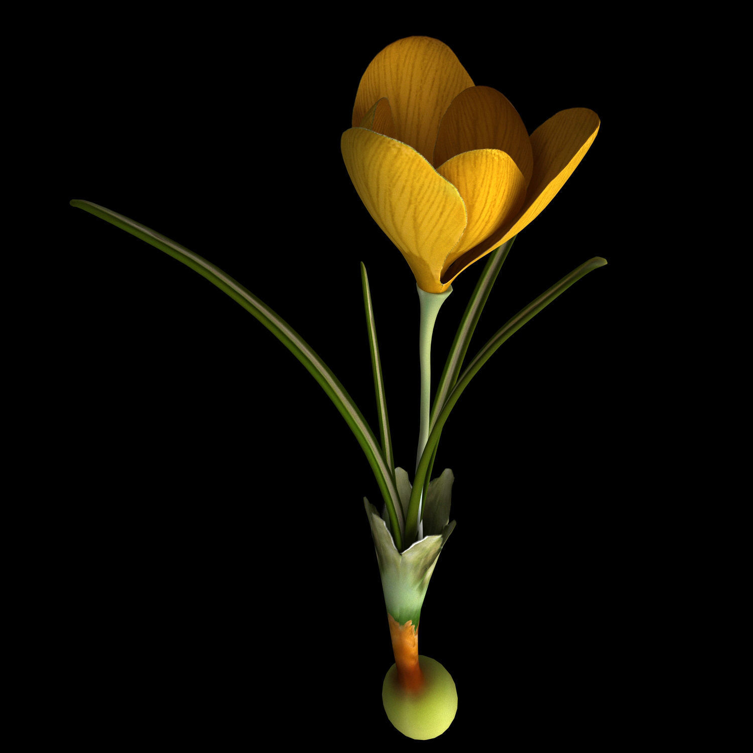 ANIMATED FLOWERS COLLECTION 3D model_16