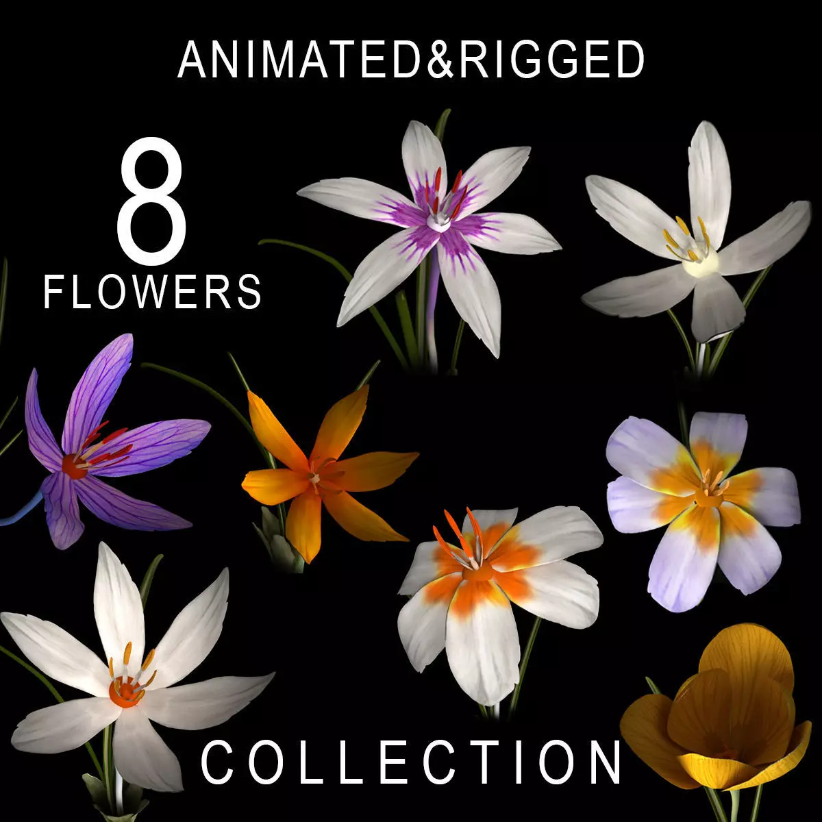 ANIMATED FLOWERS COLLECTION 3D model_0