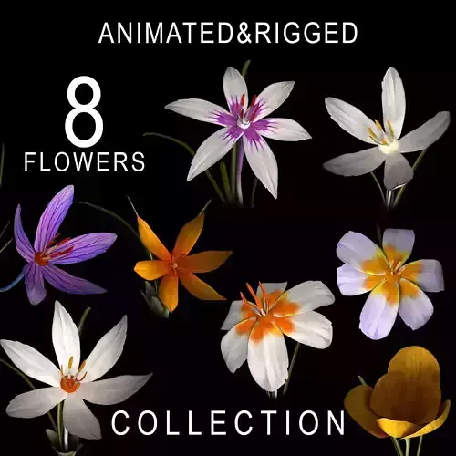 ANIMATED FLOWERS COLLECTION 3D model
