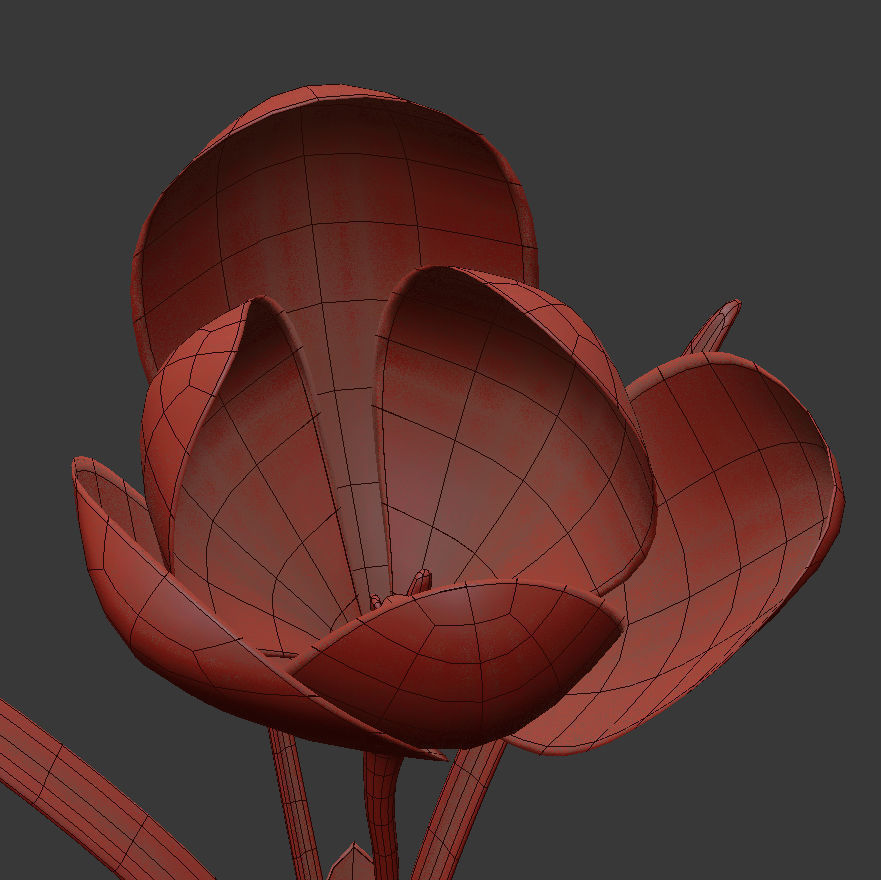 ANIMATED FLOWERS COLLECTION 3D model_23