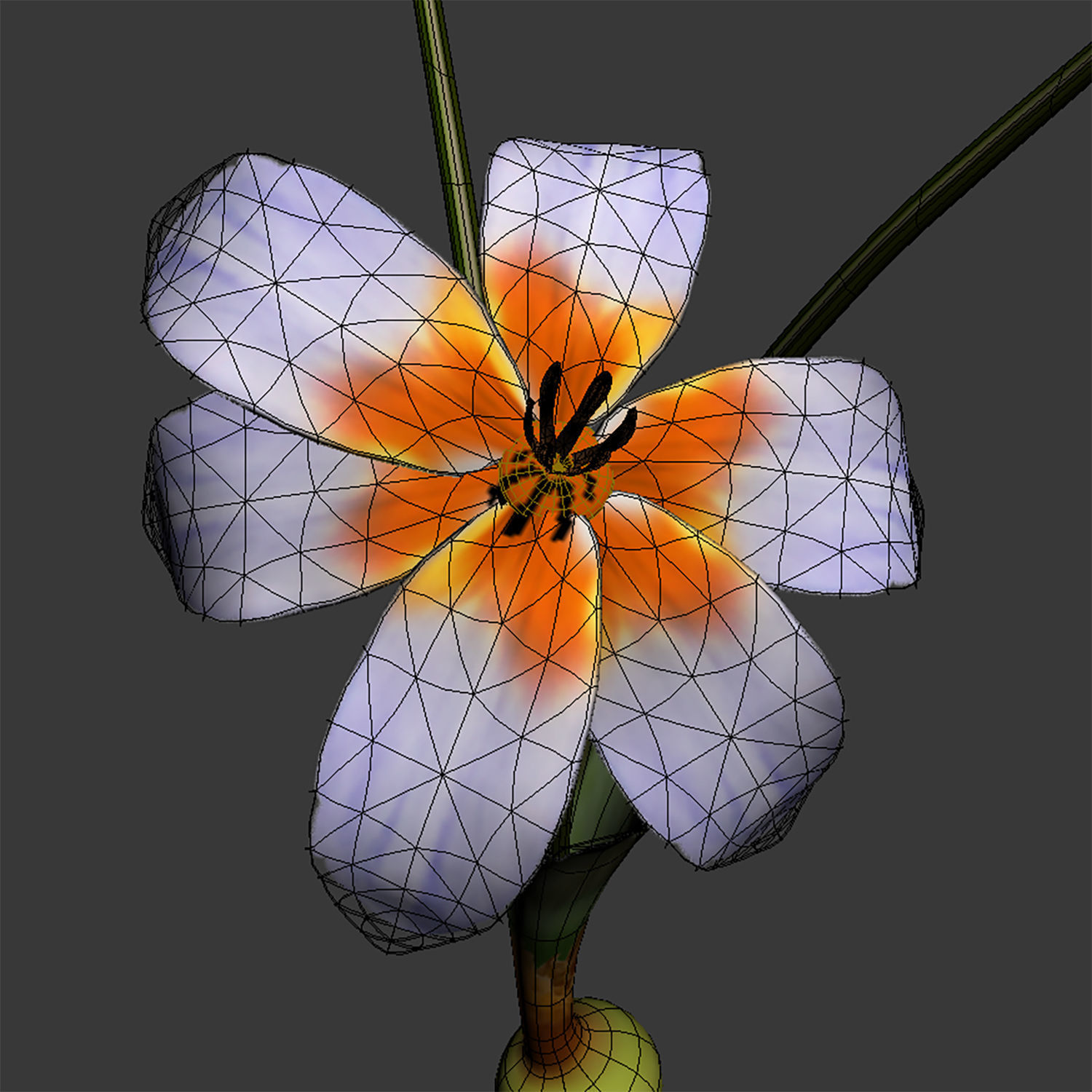 ANIMATED FLOWERS COLLECTION 3D model_25