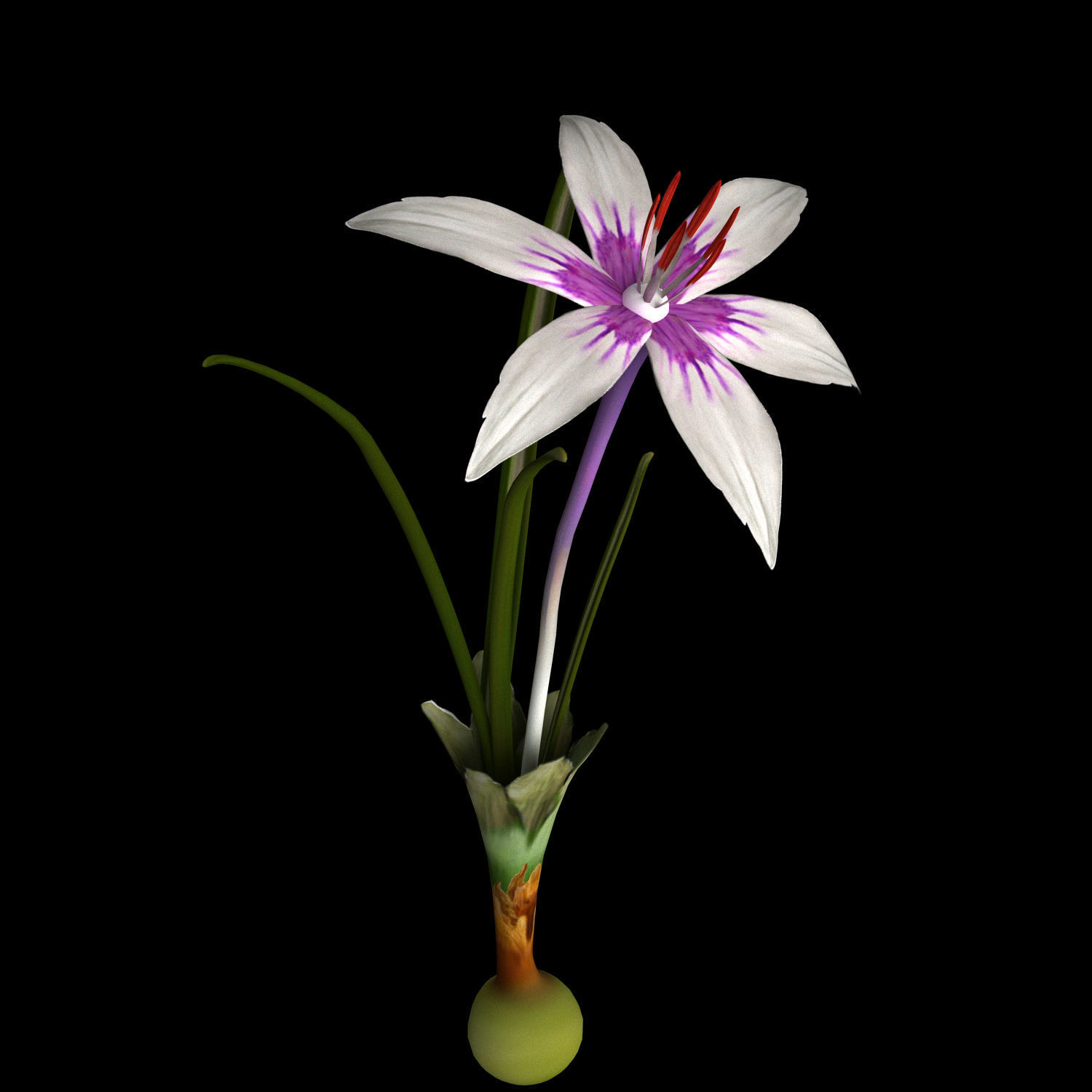 ANIMATED FLOWERS COLLECTION 3D model_15