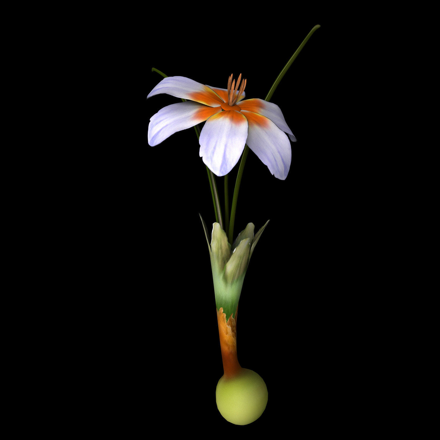 ANIMATED FLOWERS COLLECTION 3D model_10