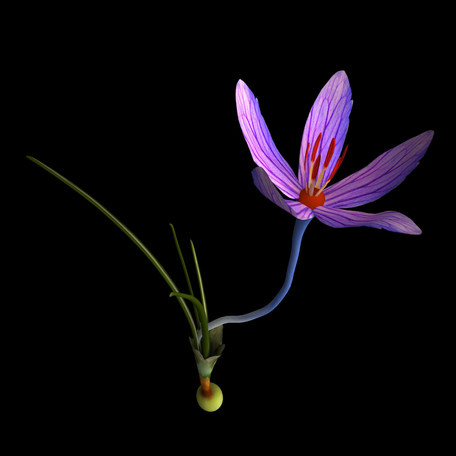 ANIMATED FLOWERS COLLECTION 3D model_13