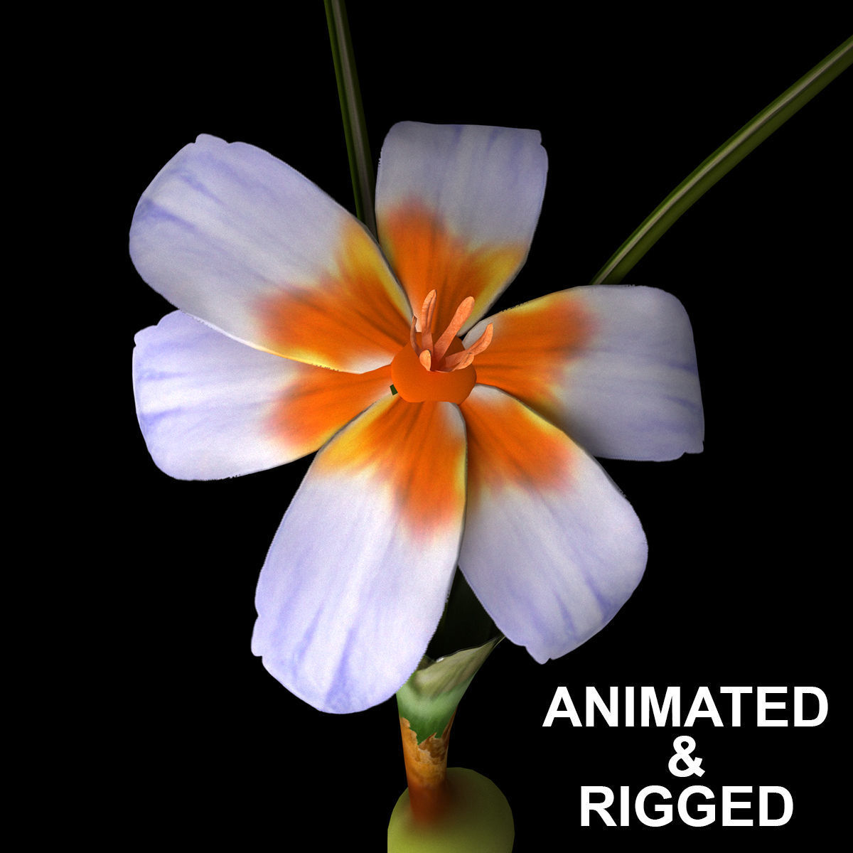 ANIMATED FLOWERS COLLECTION 3D model_2