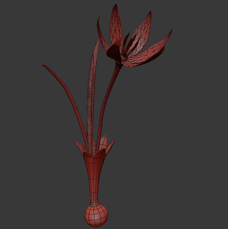 ANIMATED FLOWERS COLLECTION 3D model_41