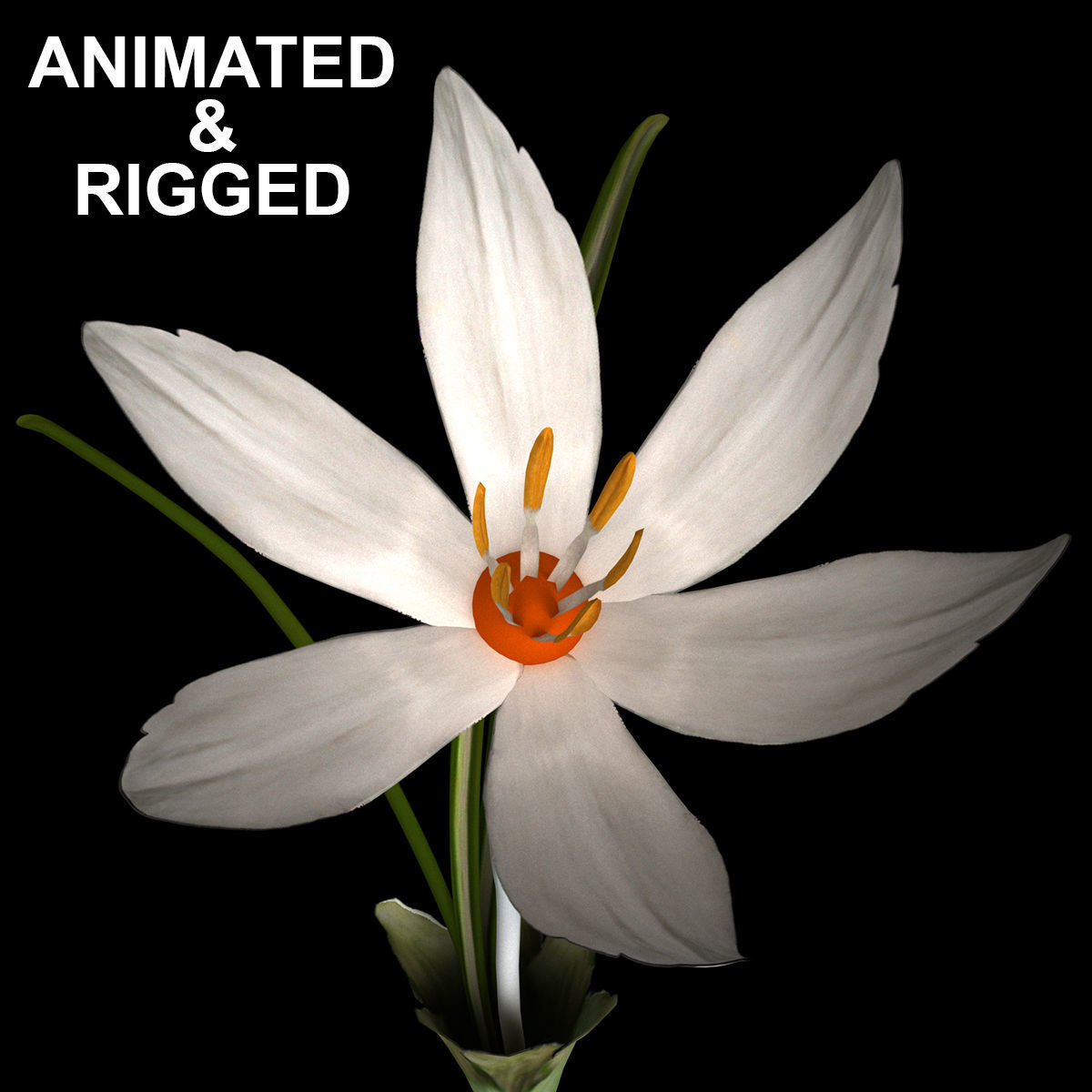 ANIMATED FLOWERS COLLECTION 3D model_7
