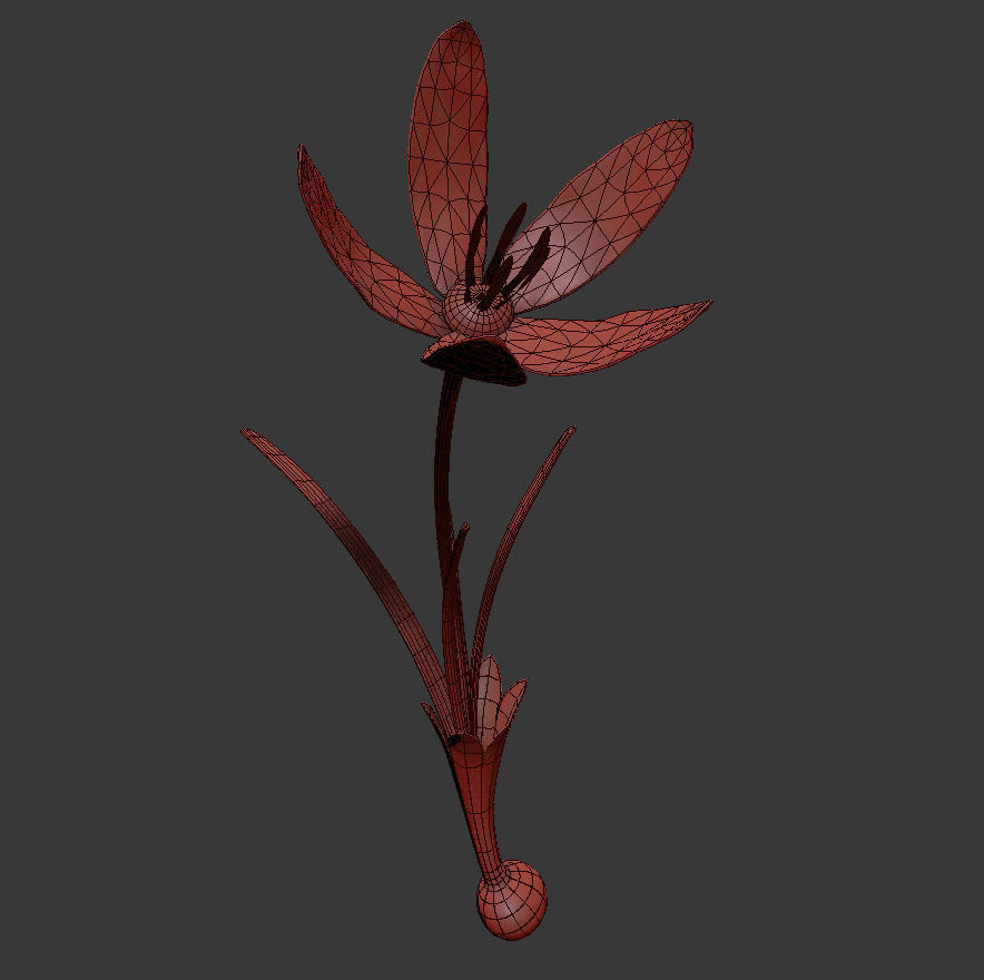 ANIMATED FLOWERS COLLECTION 3D model_39