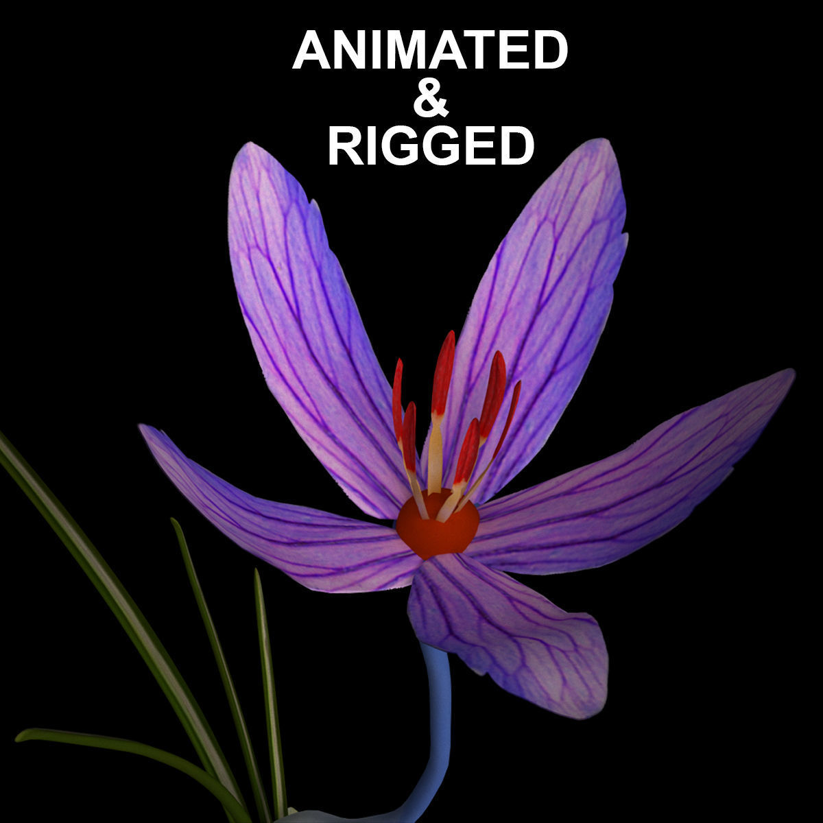 ANIMATED FLOWERS COLLECTION 3D model_3