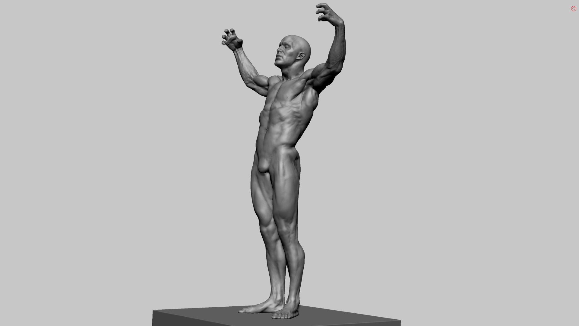 Human Anatomy v2 3D model_10