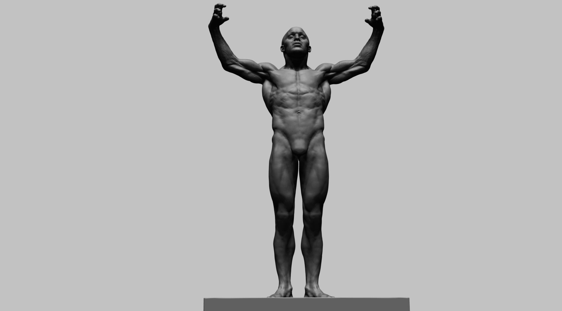 Human Anatomy v2 3D model_4