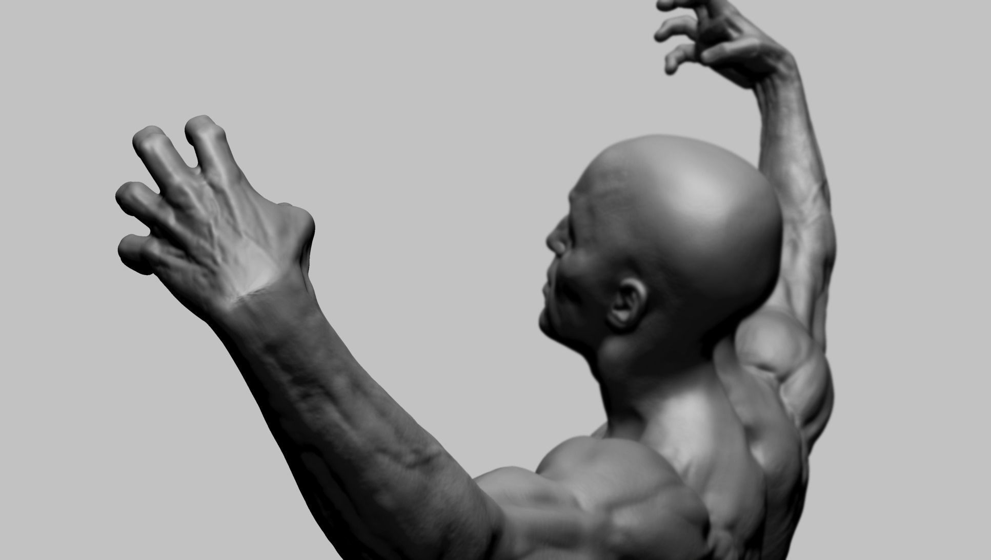 Human Anatomy v2 3D model_7