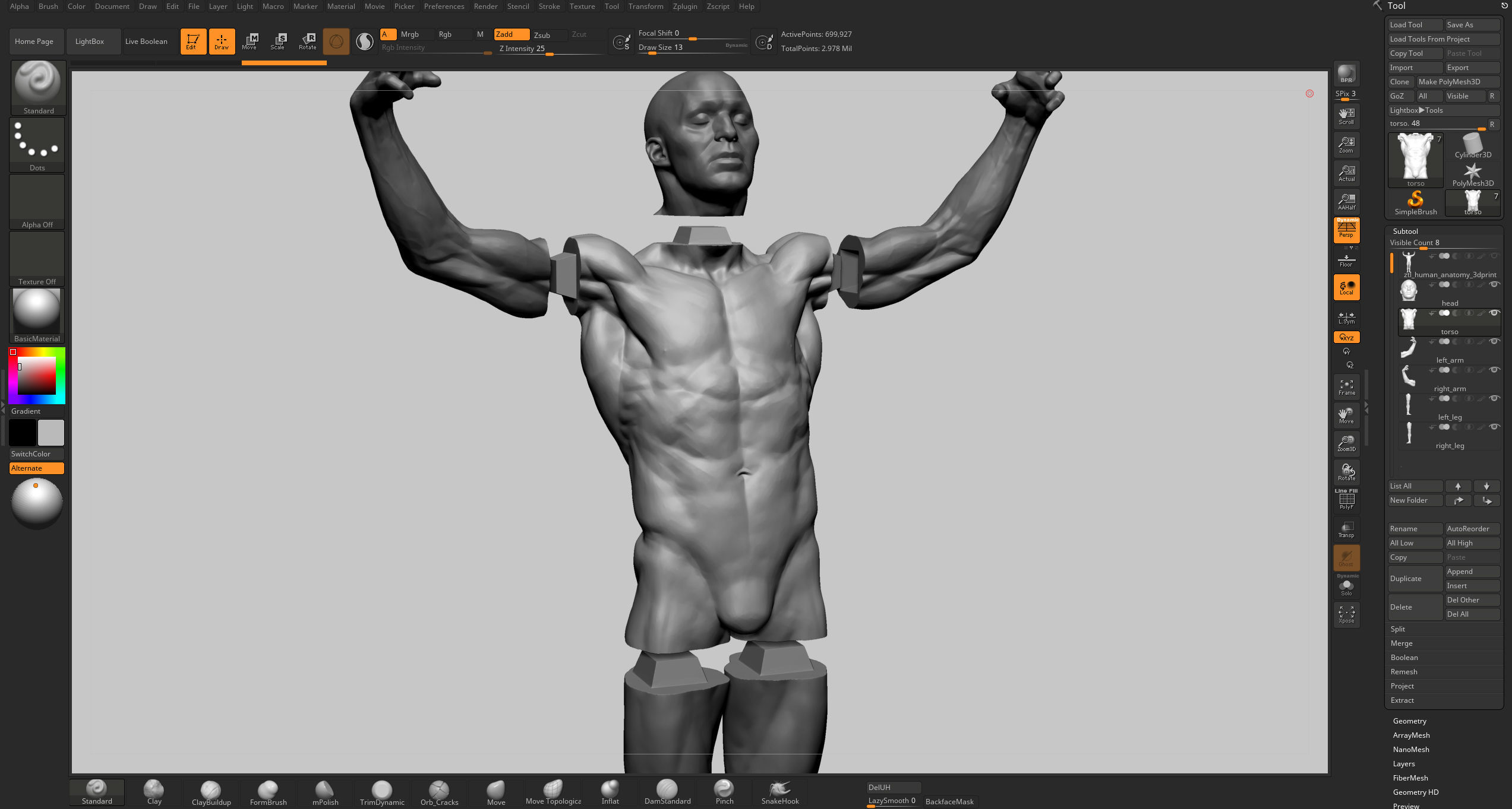 Human Anatomy v2 3D model_15