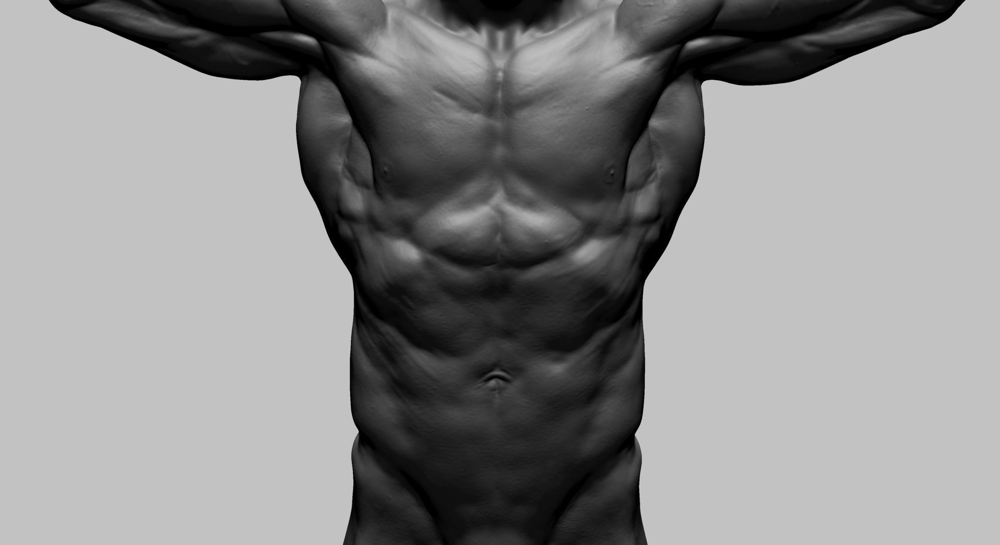 Human Anatomy v2 3D model_5