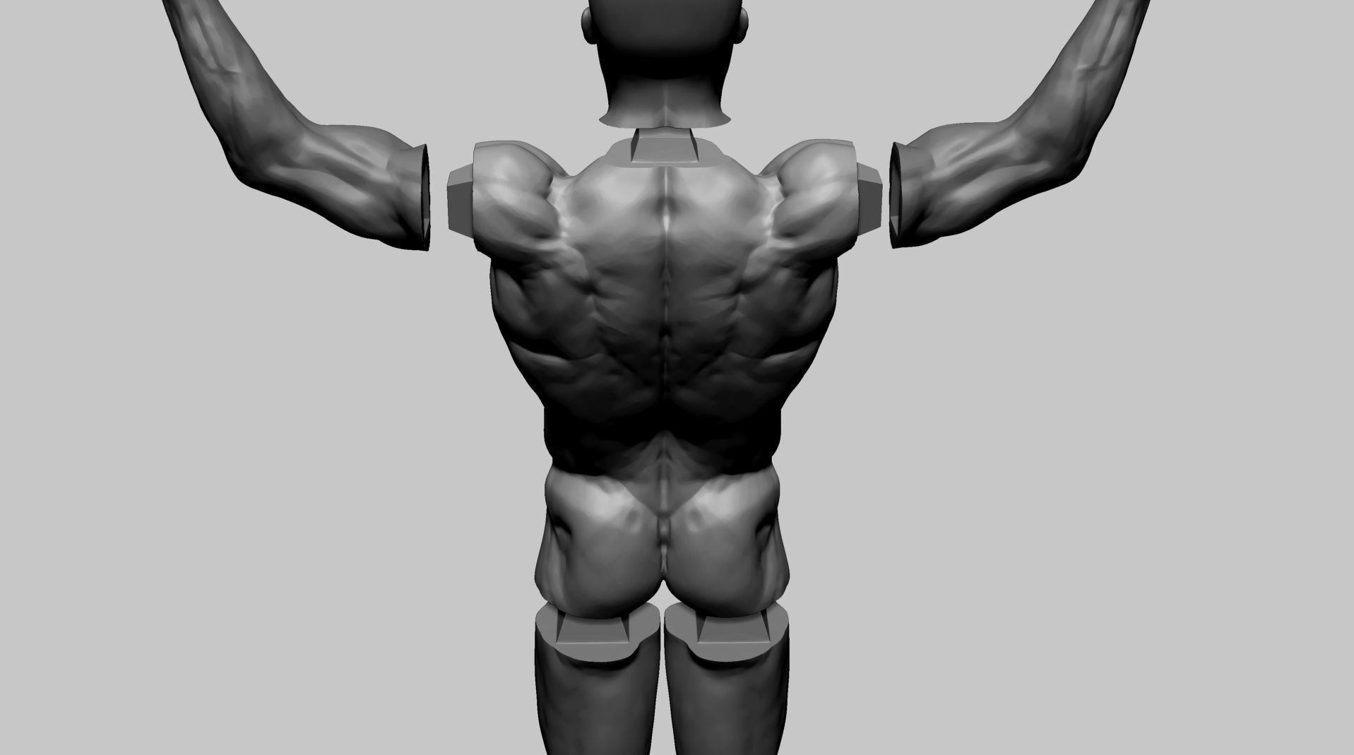 Human Anatomy v2 3D model_17