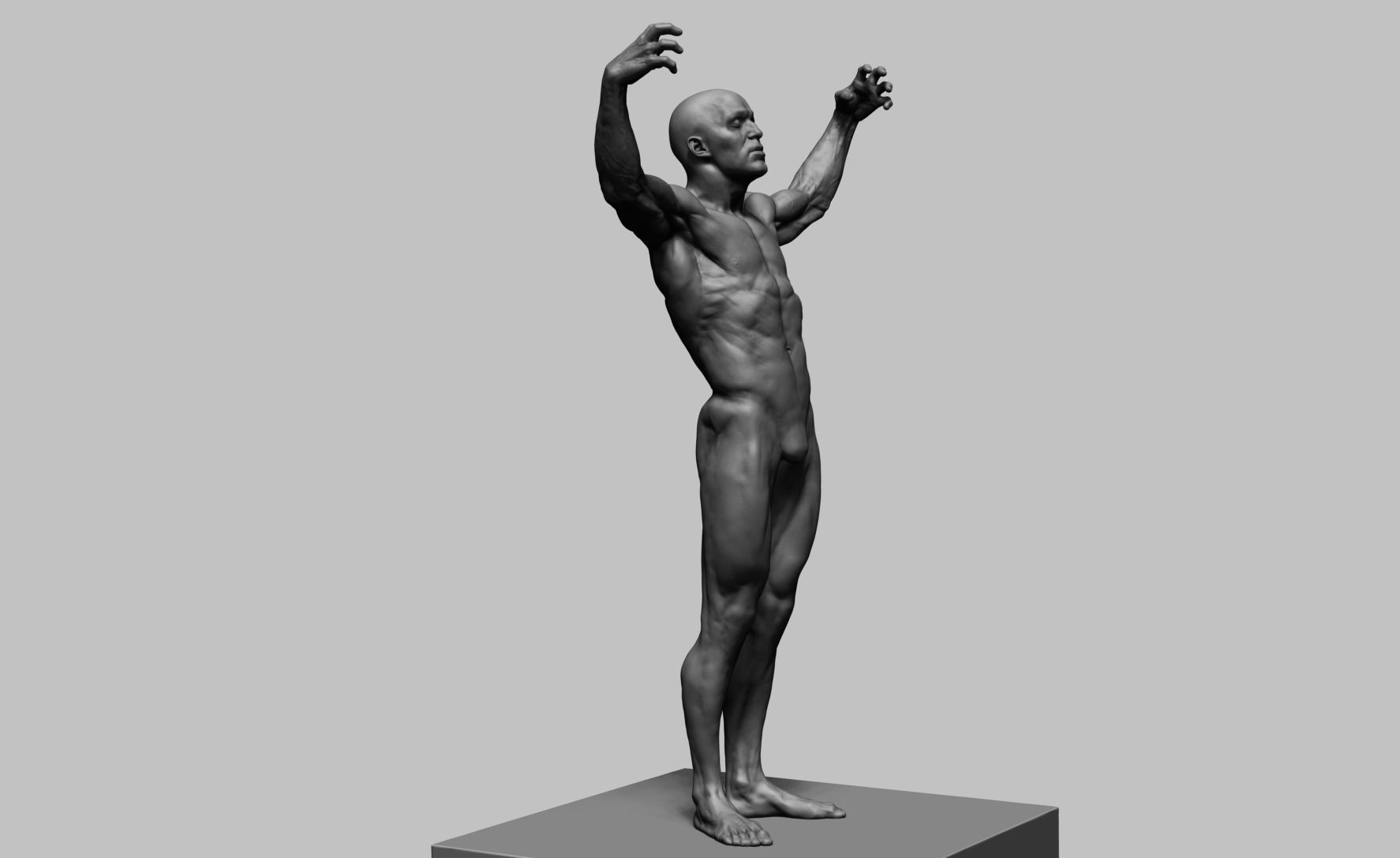 Human Anatomy v2 3D model_2