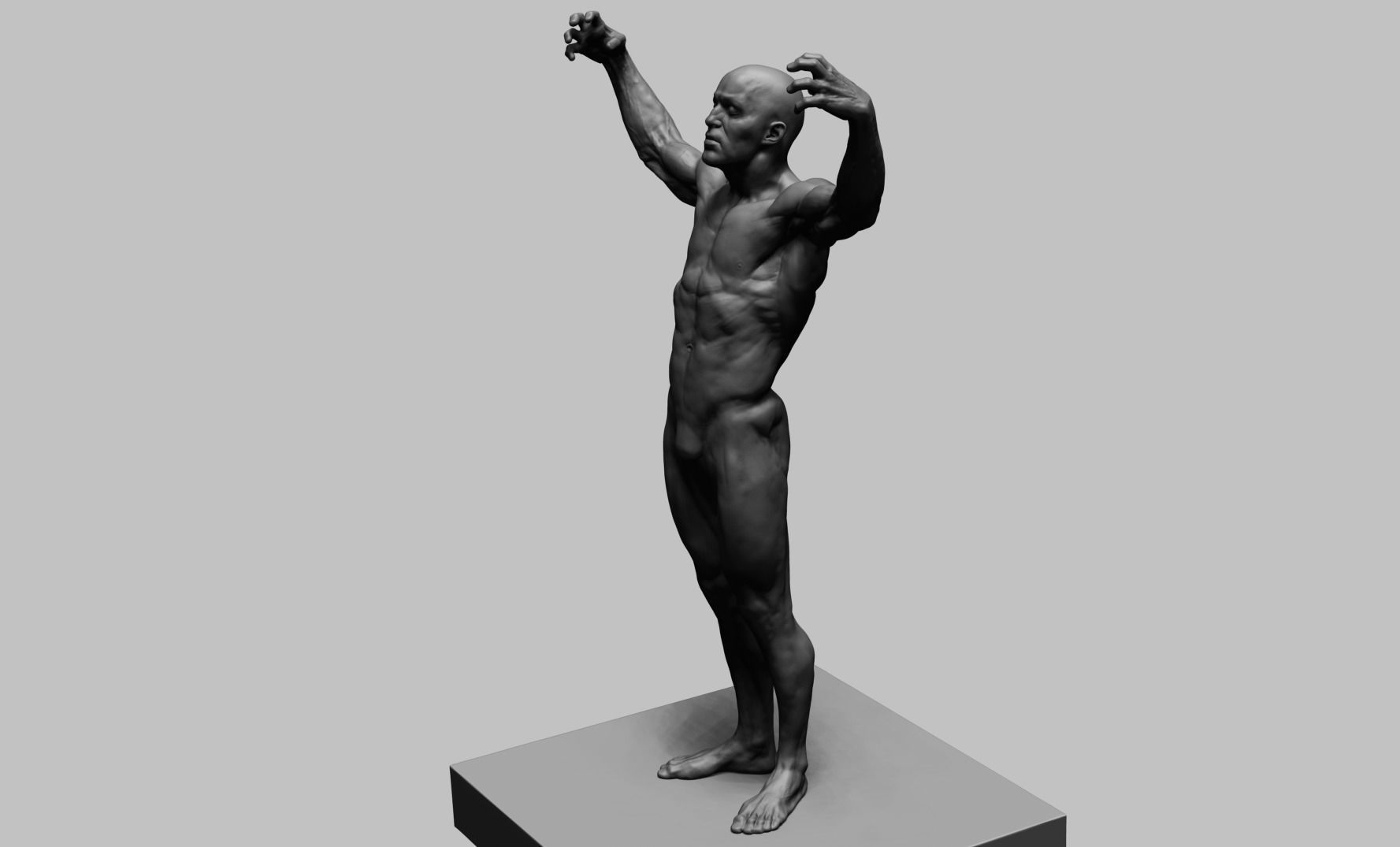 Human Anatomy v2 3D model_3