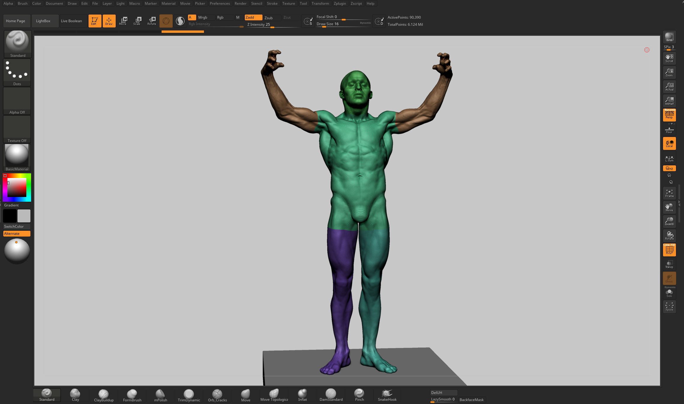 Human Anatomy v2 3D model_11