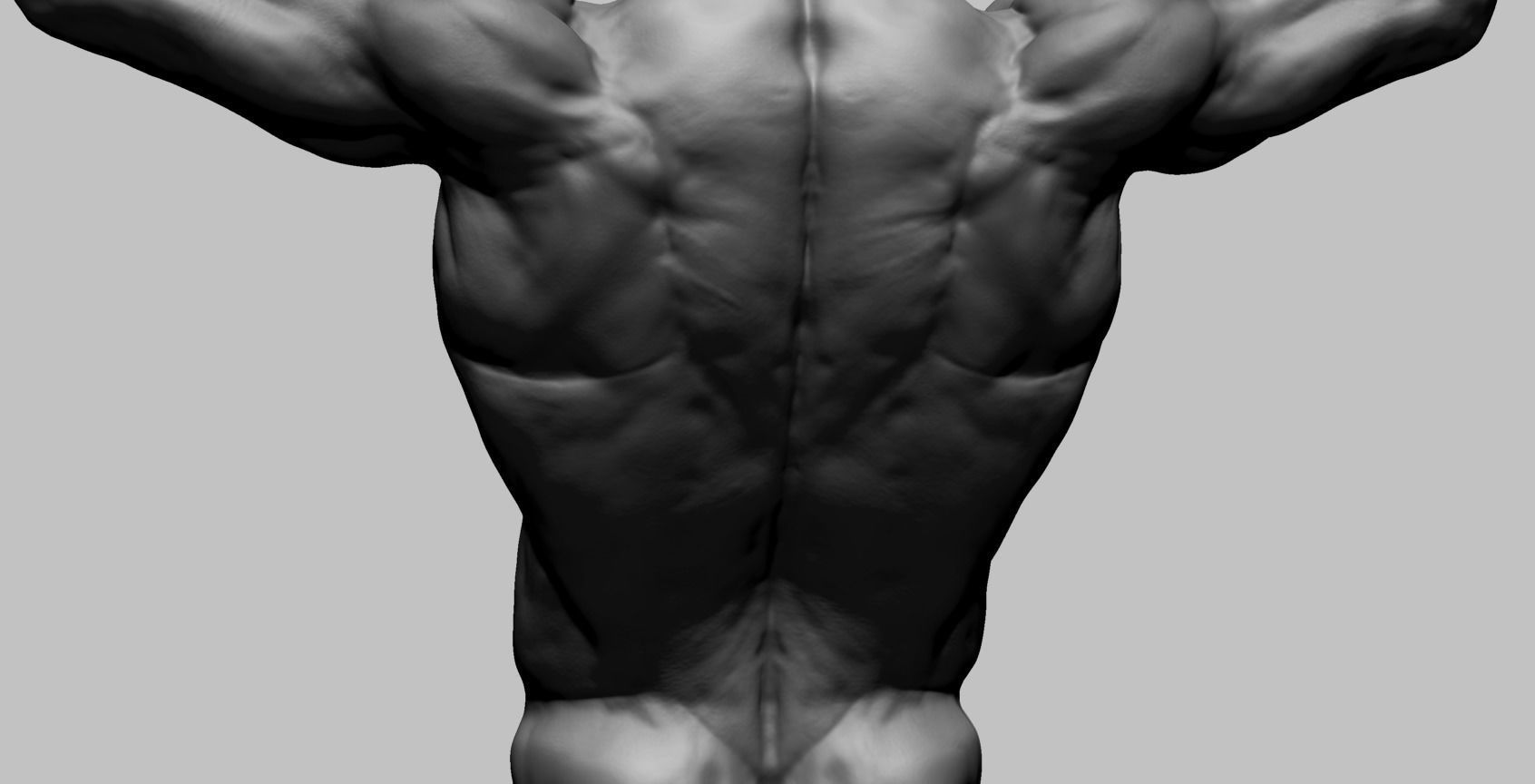 Human Anatomy v2 3D model_6