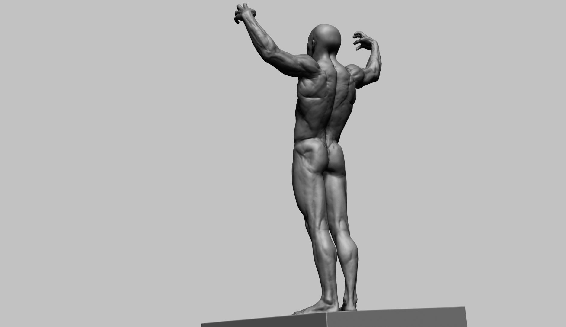 Human Anatomy v2 3D model_1