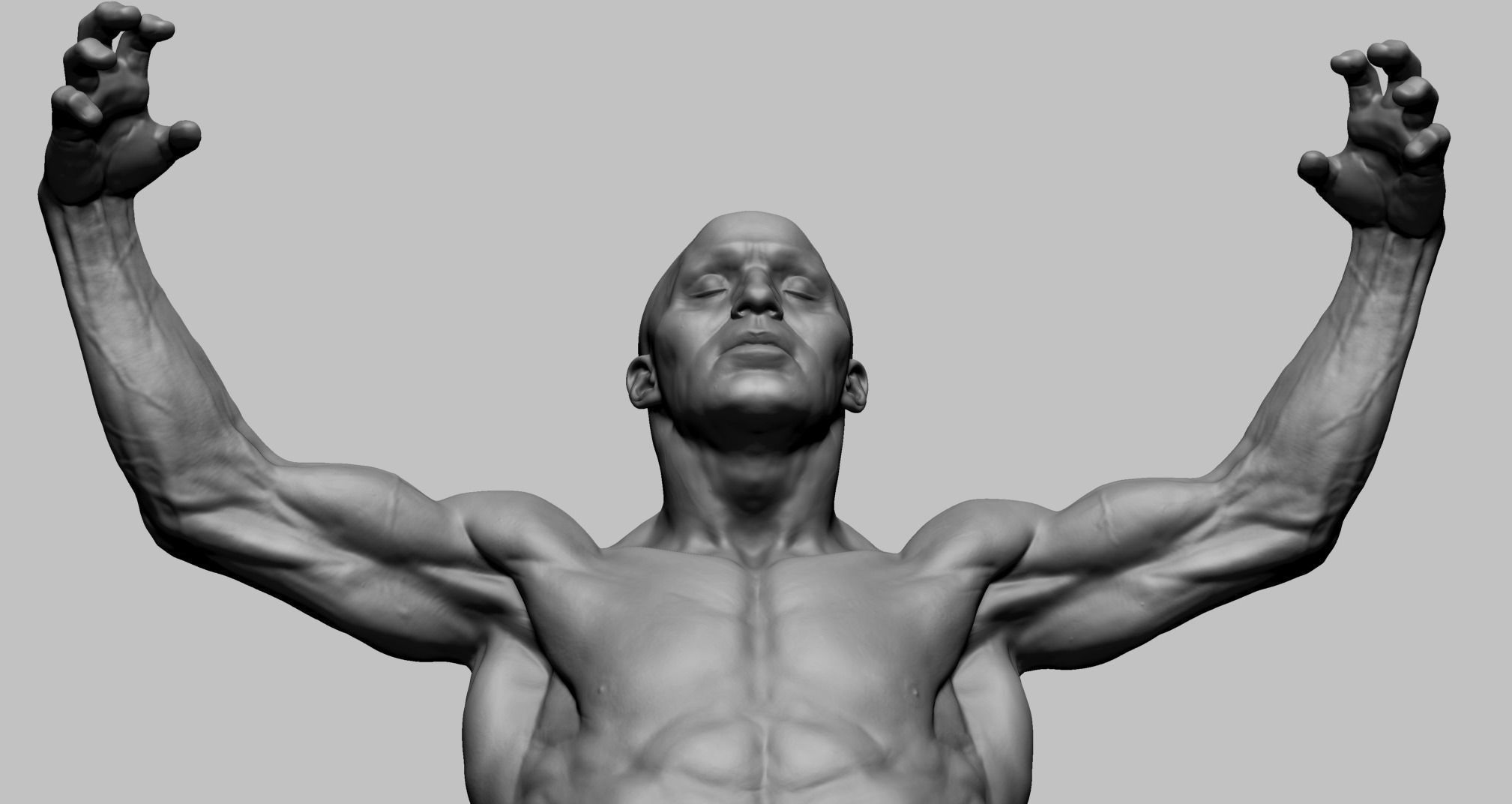 Human Anatomy v2 3D model_8