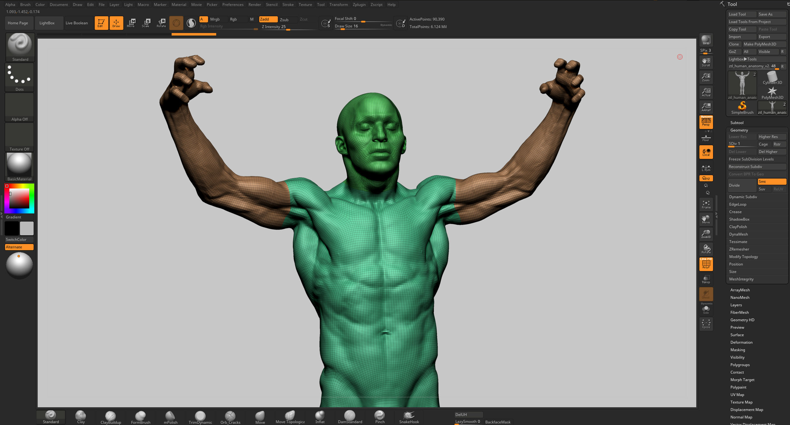 Human Anatomy v2 3D model_12