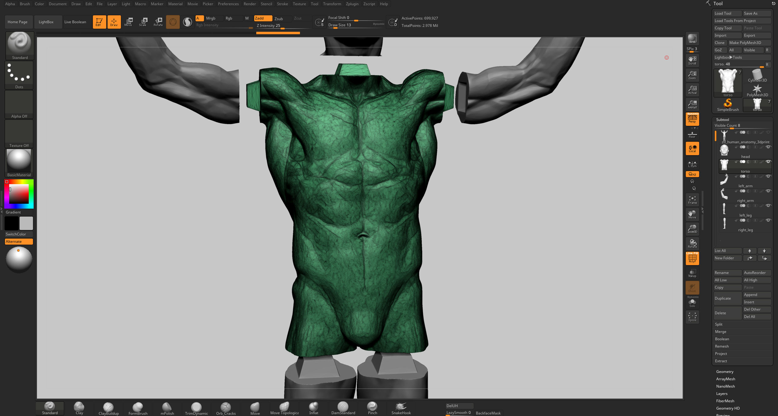 Human Anatomy v2 3D model_18